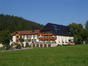  Landgasthof Zum Schwanen  Хорнберг